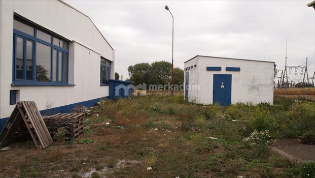 Lokal użytkowy na sprzedaż Buk 1 500m2 Foto 7