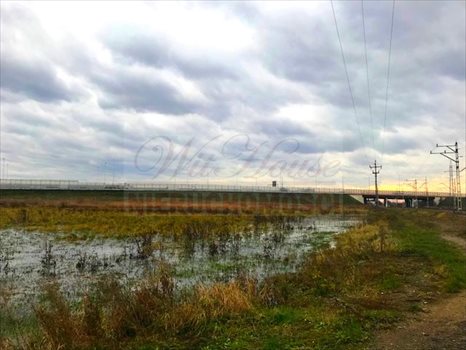Działka inwestycyjna na sprzedaż Opacz-Kolonia 5 500m2 Foto 4