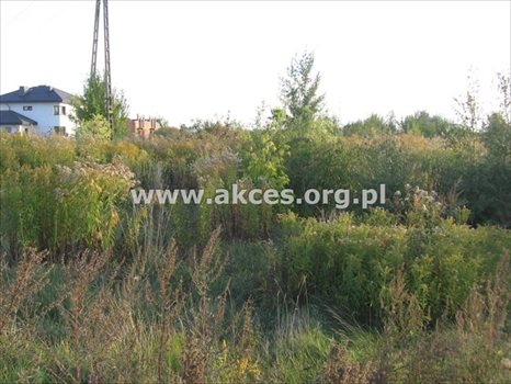 Działka budowlana na sprzedaż Nowa Wola 1 000m2 Foto 5