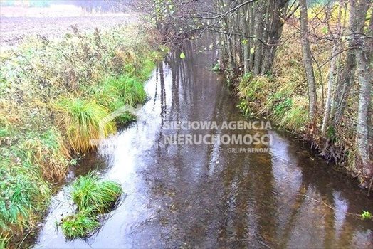 Działka leśna na sprzedaż Skwierawy 64 900m2 Foto 2