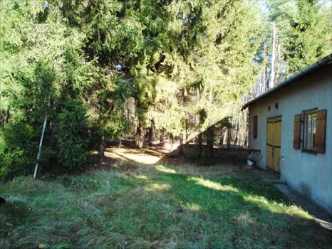 Działka budowlana na sprzedaż Piaseczno, Józefosław 2 800m2 Foto 5