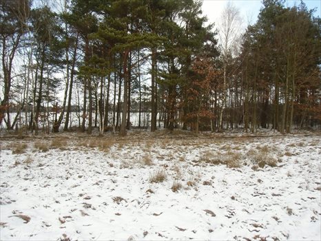Działka budowlana na sprzedaż Dobrzewino, Ratanowa 1 448m2 Foto 1