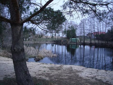 Dom na sprzedaż Borkowo, Nowowiejska 665m2 Foto 6