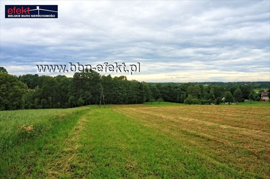 Działka budowlana na sprzedaż Iłownica 4 200m2 Foto 7
