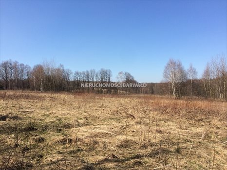 Działka inna na sprzedaż Kalwaria Zebrzydowska 9 600m2 Foto 2
