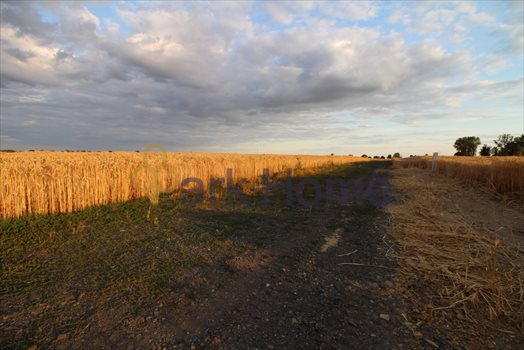 Działka przemysłowo-handlowa na sprzedaż Kąkolewo 1 296m2 Foto 4