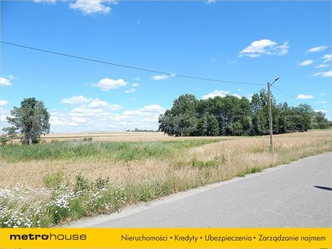 Działka rolna na sprzedaż Józefin, Chełm 4 920m2 Foto 3