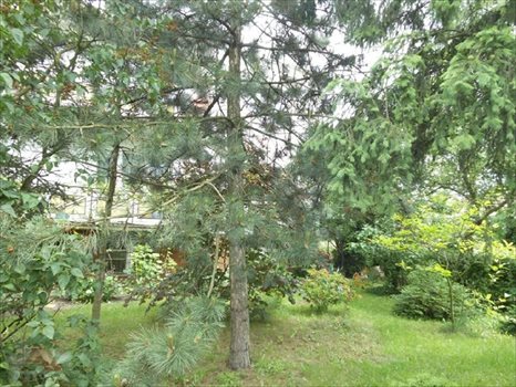 Działka budowlana na sprzedaż Łódź, Polesie 5 664m2 Foto 9