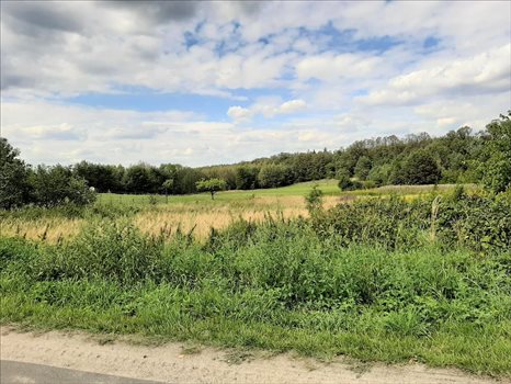 Działka inna na sprzedaż Bagno, Oborniki Śląskie 6 119m2 Foto 2