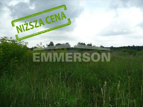 Działka budowlana na sprzedaż Marki 1 797m2 Foto 3