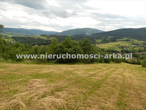 Działka budowlana na sprzedaż Dobra 6 100m2 Foto 1