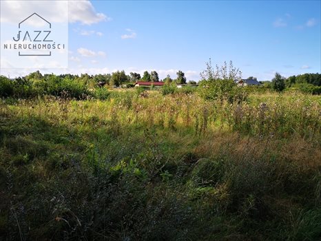 Działka budowlana na sprzedaż Dębki 1 323m2 Foto 5