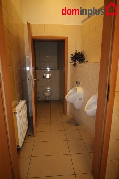 Lokal użytkowy na wynajem Toruń, Osiedle Młodych 204m2 Foto 4