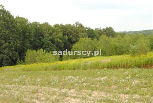 Działka budowlana na sprzedaż Głogoczów 1 965m2 Foto 3