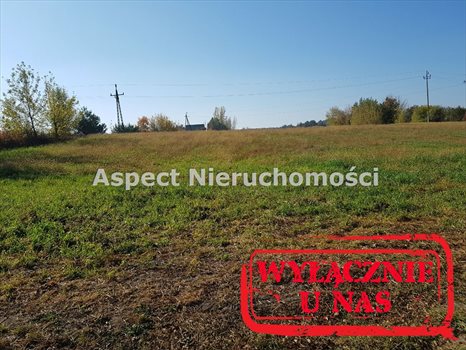 Działka budowlana na sprzedaż Płock, Góry 1 310m2 Foto 5