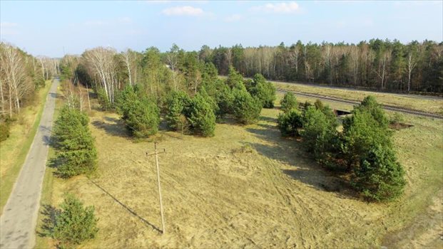 Działka inwestycyjna pod dzierżawę Czerwony Bór 10 000m2 Foto 6