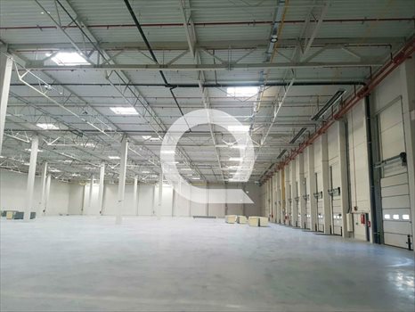 Lokal użytkowy na wynajem Elbląg 2 500m2 Foto 3
