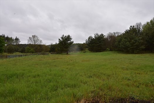 Działka budowlana na sprzedaż Świdnica 3 100m2 Foto 4