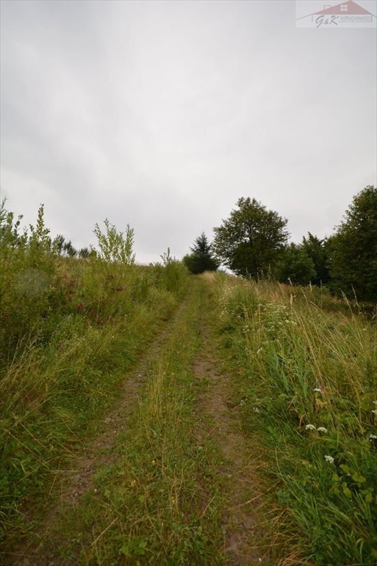 Działka rekreacyjna na sprzedaż Morochów 742m2 Foto 4