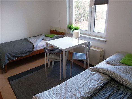 Dom na wynajem Miłoszyce, Wrocławska 50 212m2 Foto 7