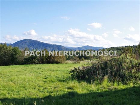 Dom na sprzedaż Bujaków 234m2 Foto 6