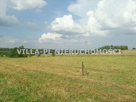 Działka budowlana na sprzedaż Rosanów 1 100m2 Foto 2