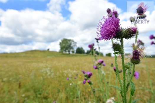 Działka budowlana na sprzedaż Giedajty 1 586m2 Foto 11