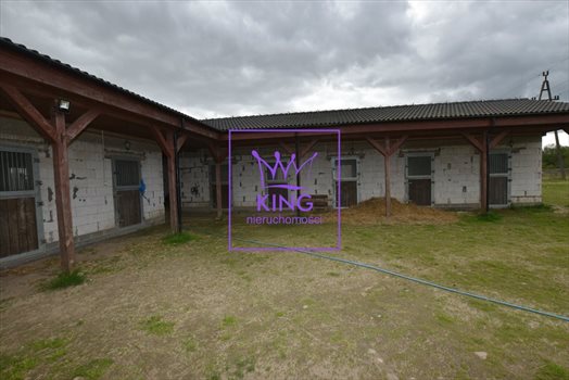Lokal użytkowy na sprzedaż Rożnowo Nowogardzkie 120 000m2 Foto 2