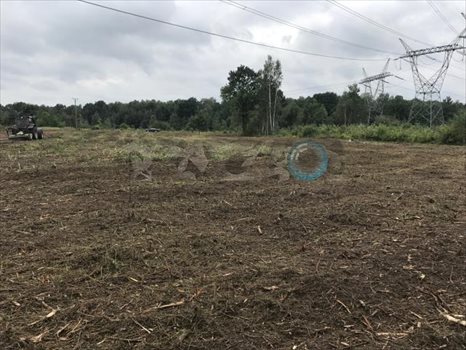 Działka inwestycyjna pod dzierżawę Nowy Konik 9 500m2 Foto 2