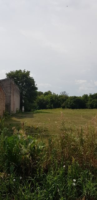 Działka budowlana na sprzedaż Augustów, Rajgrodzka 1 705m2 Foto 4