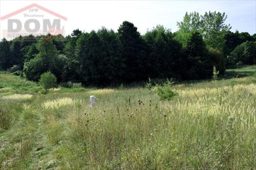 Działka inna na sprzedaż Gudowo, Jezioro, Las, Przystanek autobusowy, Tereny rekrea 56 892m2 Foto 4