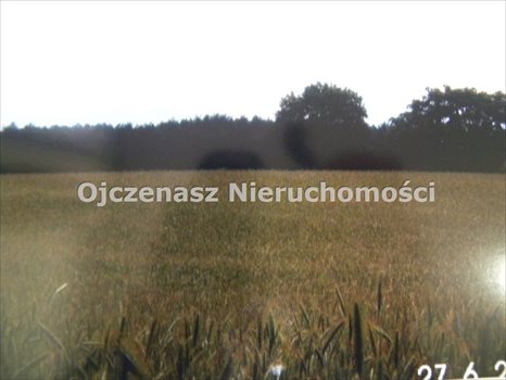 Działka rolna na sprzedaż Lipy 3 000m2 Foto 2