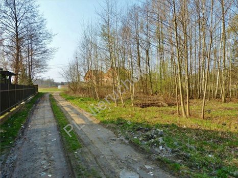 Działka budowlana na sprzedaż Otwock, Wólka Mlądzka 726m2 Foto 6