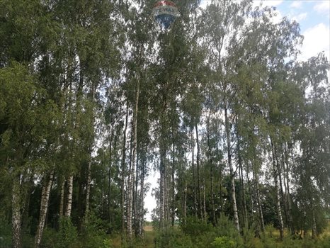 Działka budowlana na sprzedaż Dąbrówka-Strumiany 1 972m2 Foto 4