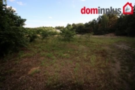Działka inna na sprzedaż Czarne Błoto 1 500m2 Foto 3