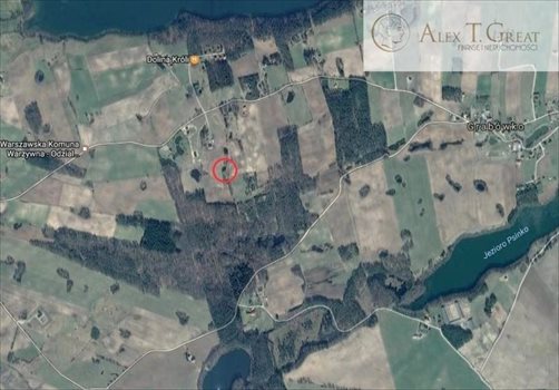 Działka budowlana na sprzedaż Grabówko 1 500m2 Foto 3