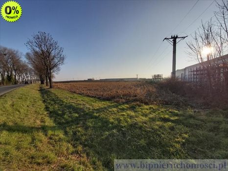 Działka inwestycyjna na sprzedaż Domasław, Oławska 7 000m2 Foto 4