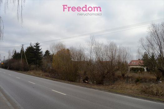 Działka inna na sprzedaż Dębina 5 700m2 Foto 3