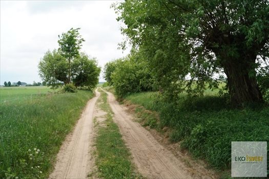 Działka budowlana na sprzedaż Winnica 1 500m2 Foto 3
