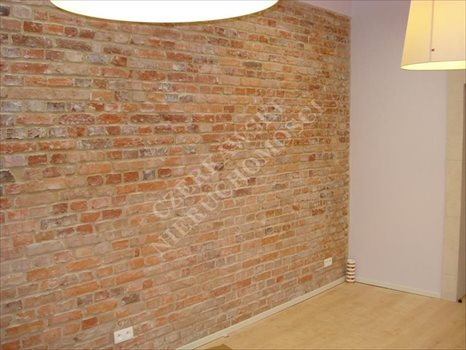 Lokal użytkowy na sprzedaż Gliwice, Centrum 183m2 Foto 10