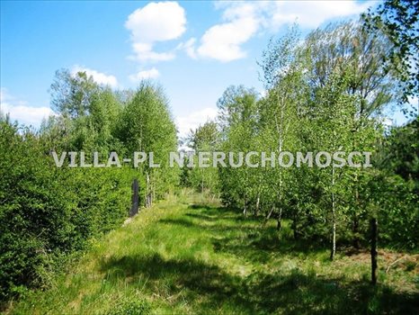Działka budowlana na sprzedaż Łęczyca 44 780m2 Foto 4