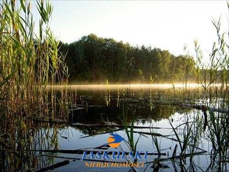 Działka rolna na sprzedaż Kościerzyna 57 810m2 Foto 3