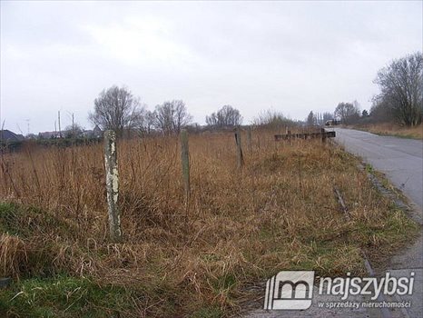 Działka przemysłowo-handlowa pod dzierżawę Nowogard, Centrum 23 000m2 Foto 4
