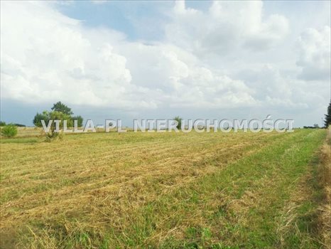 Działka budowlana na sprzedaż Rosanów 1 100m2 Foto 3