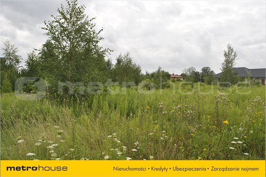 Działka inna na sprzedaż Malbork, Malbork 3 600m2 Foto 3
