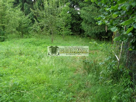 Działka budowlana na sprzedaż Tarnawce 1 637m2 Foto 3