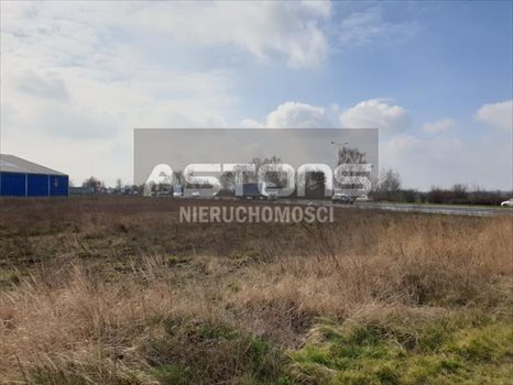 Działka inwestycyjna na sprzedaż Poznań, Rataje, Bolesława Krzywoustego 13 000m2 Foto 3