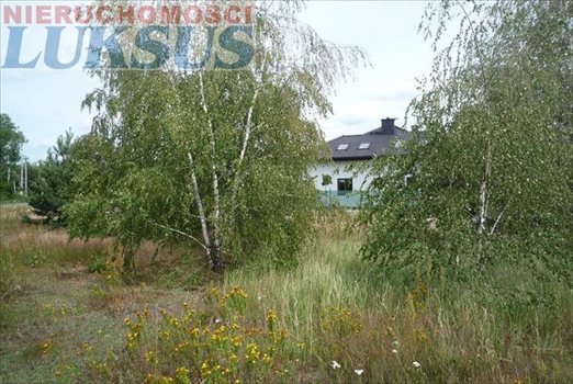 Działka budowlana na sprzedaż Prace Duże, Prace Duże 1 000m2 Foto 6
