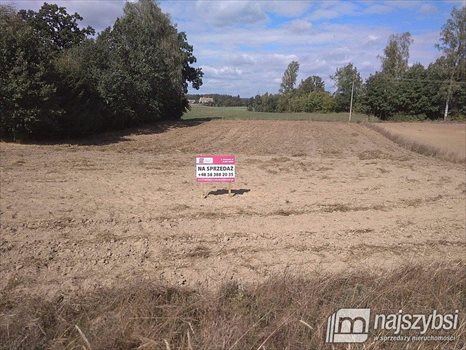 Działka siedliskowa na sprzedaż Kolincz, obrzeża 4 900m2 Foto 4