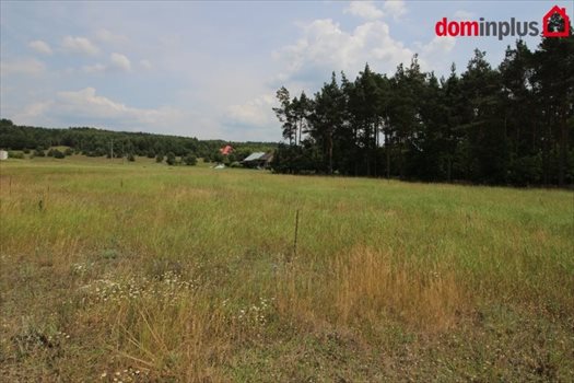 Działka inna na sprzedaż Sąsieczno 1 500m2 Foto 2